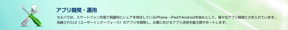 アプリ開発・運用