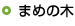 まめの木