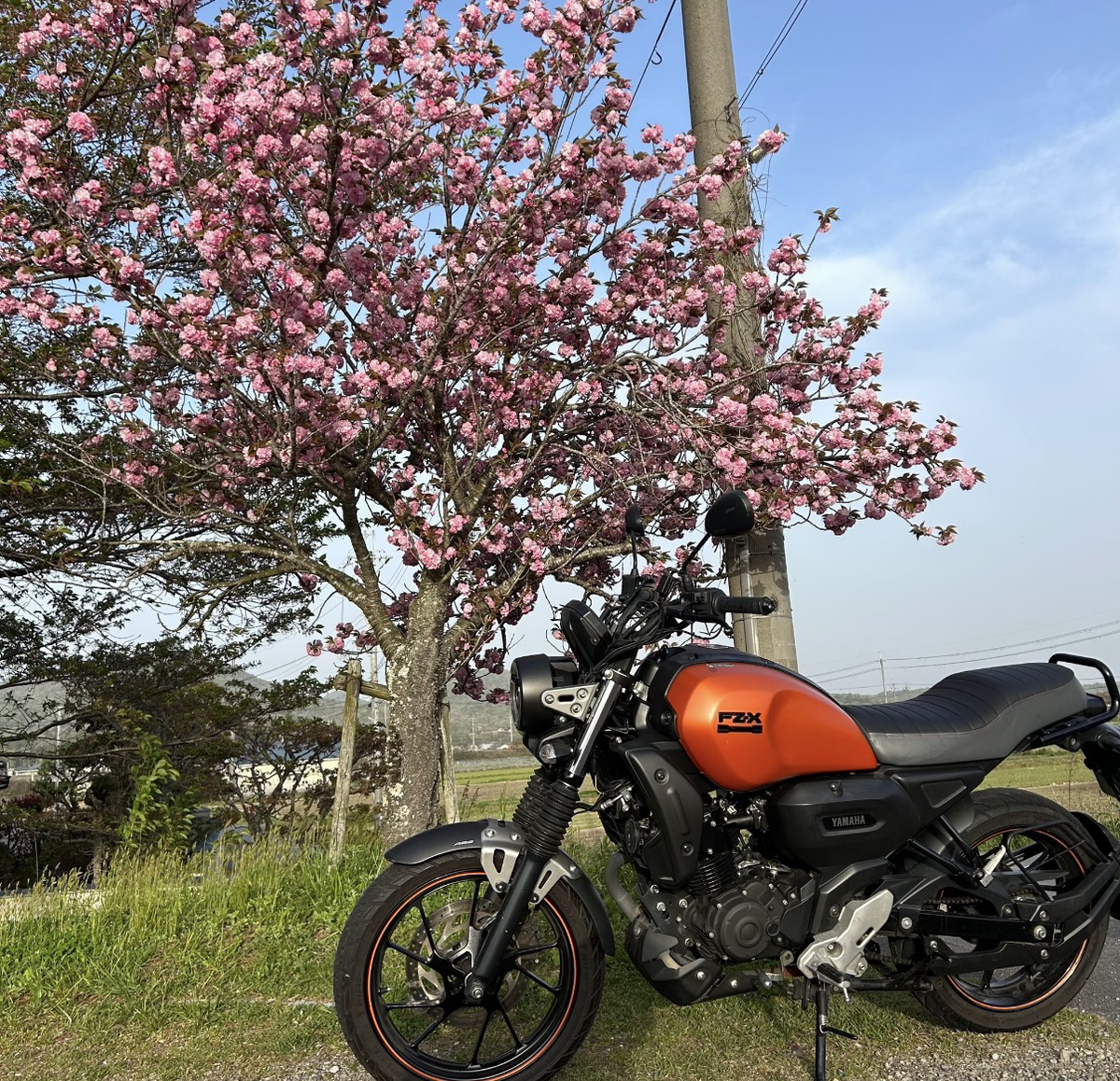 タムラのアバター