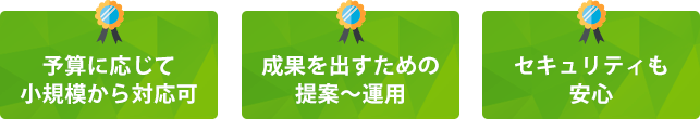 大規模なサイト対応可能、成果を出すための提案、運用、セキュリティも安心